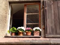 4 Tage Jubiläumsreise in die Saale-Unstrut-Region