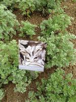 4 Tage Jubiläumsreise in die Saale-Unstrut-Region