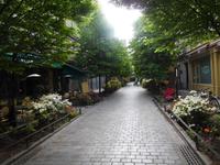 In Paris gibt es auch schöne grüne Strassen.