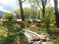 Kamelienpark in Locarno