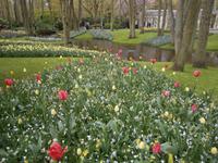 ein herrlich gestalteter Park