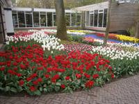 Blumenpracht vor einem Pavillon