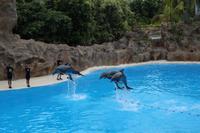 Freizeit im Loro Parque, Teneriffa