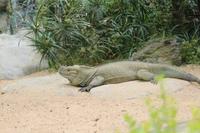 Freizeit im Loro Parque, Teneriffa