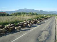 mal ein anderer Gegenverkehr 