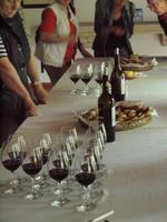 Ausflug nach Setúbal und ins nationale Kachelmuseum - Weinverkostung