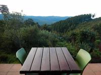 Blick aus dem Zimmer Misty Mountain Lodge