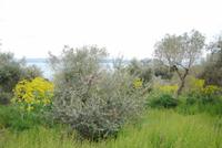 Blick vom höchsten Punkt der Insel Isola Maggiore