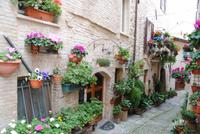 Wettbewerbe der Straßen zum Fronleichnamstag - Blumenteppiche auf allen Gassen  Spellos