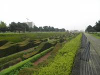 Park vor Themse Barriers