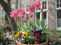 Amsterdam_Beginenhof (Begijnhof)
