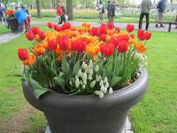 Keukenhof