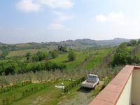  Wein-und Olivenhaine