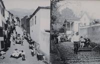 133_Korbschlittenfahrt früher