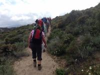 IMG_4441_ Agriates-Wüste