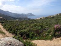 IMG_4489_La Revellata