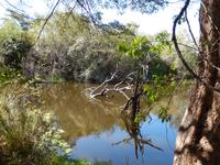 Im Zambezi Sun Resort