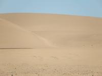 Wüste Namib