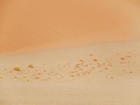 Sossusvlei