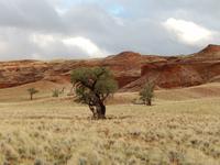 Sundownerfahrt Namib Desert Lodge