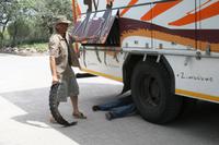 Reifenpanne oder Krokodil überfahren