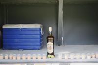 Heia Safari - auf eine erfolgreiche Pirsch