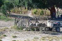 Unterwegs in Namibia