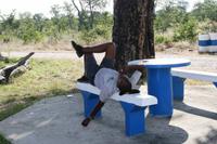 Lenkpause für Jamaica