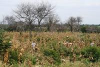 Unterwegs in Namibia