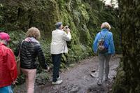 Levada-Wanderung