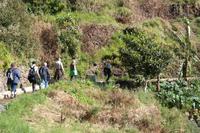 Levada-Wanderung
