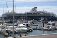 im Hafen Funchal