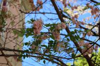 Kurort bei Monchique