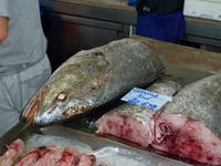Fischmarkt in Olhao