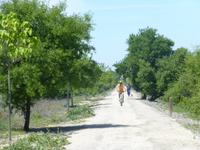 auf der via verde del aceite