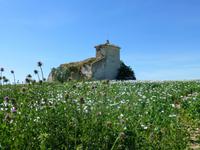 entlang der via verde de la campino