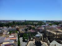 Blick vom Giralda auf Sevilla