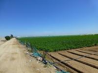 Radtour durch die Gemüsefelder Spaniens