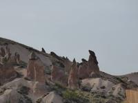 Pinguinschar? - 