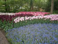 immer wieder die farbige Vielfalt, die beeindruckt