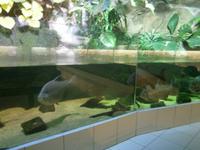 eine große Arten-und Farbenvielfalt