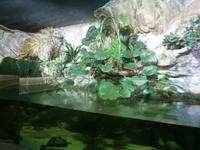 Auch hier ein schön gestaltetes Becken