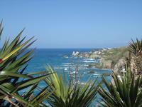 Die_Liebenden_mit_Schwiemu