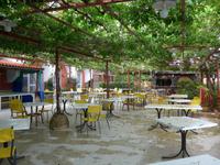 Garten im Hotel La Vela in Pioppi