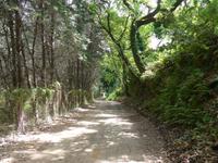 Weg von der Punta Licosa nach San Marco