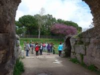im Amphitheater in Paestum
