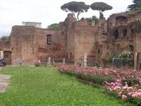 Casa delle Vestali