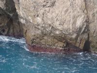 Capri - Die rote Grotte