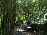 450  Impressionen Lissabon