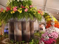 Funchal - Blumenfest auf der Avenida Arriaga - Im Blumenpavillon